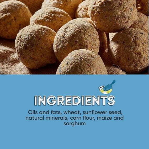 Happy Beaks - High Energy Premium Fat Balls (90g)